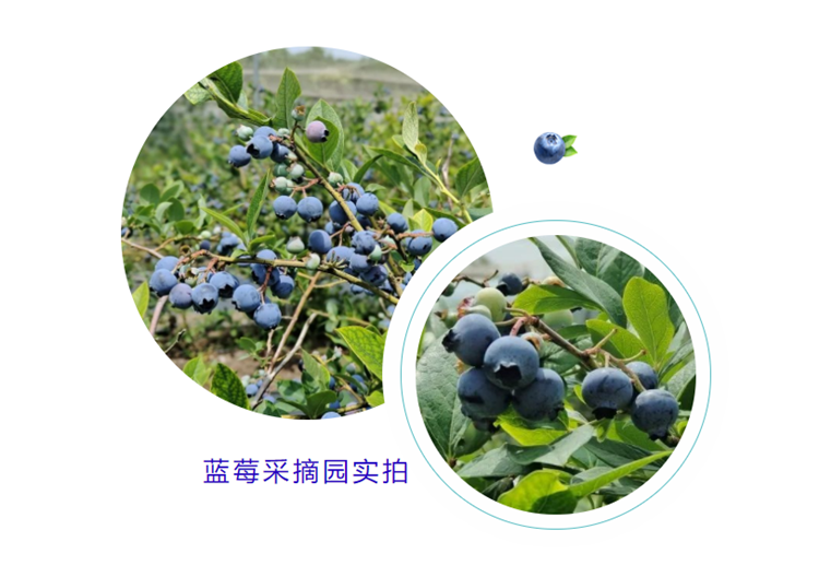 9c06977279a39a5be376988d917a6d0.png