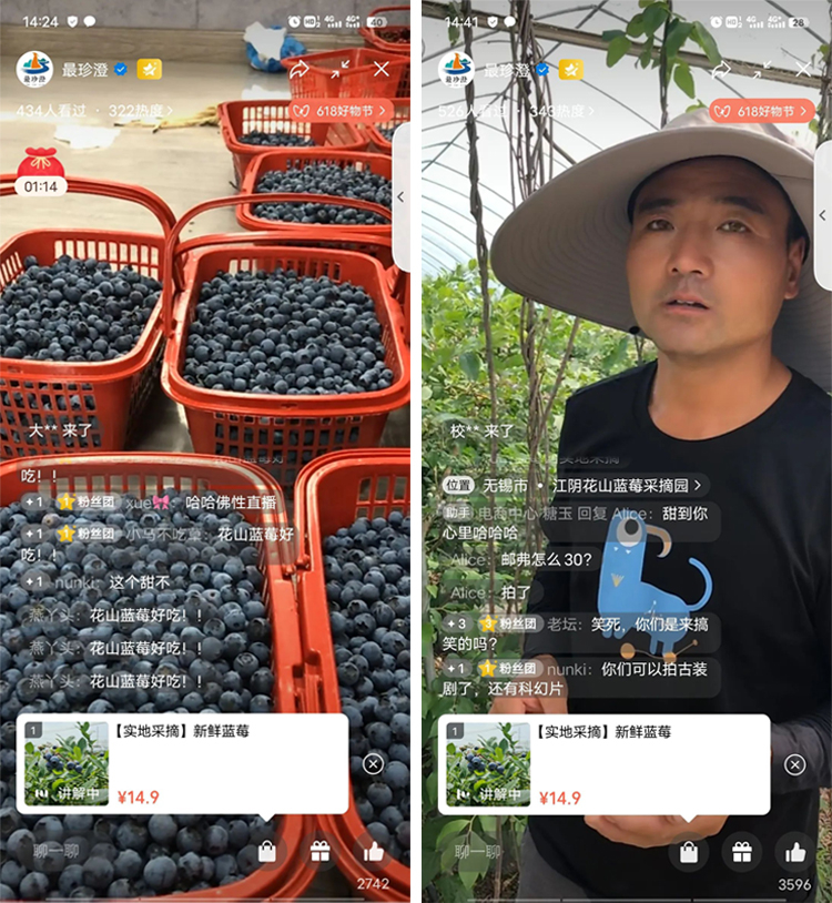 爱心助农专场直播——“莓”好时光 新鲜蓝莓采摘4.jpg