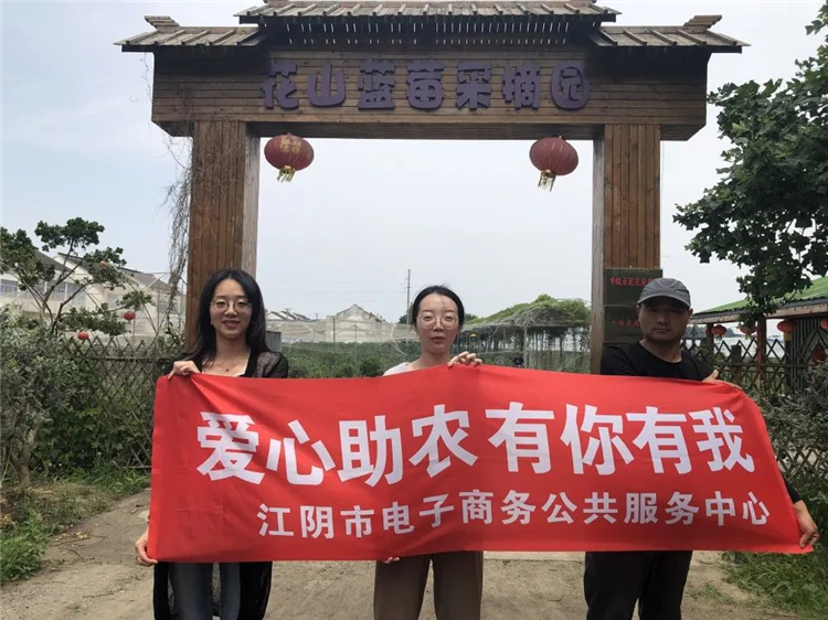 爱心助农专场直播——“莓”好时光 新鲜蓝莓采摘3.jpg